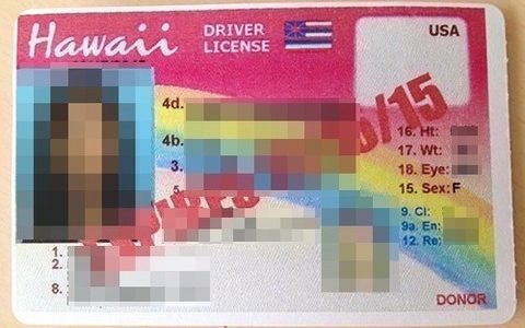 他州の自動車免許をハワイのものに更新する方法