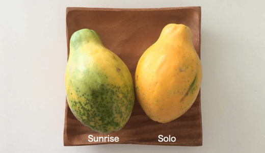 ハワイ島産パパイア2品種の食味・糖度を比較してみた