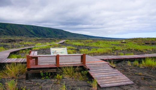 プウ・ロア・ペトログリフ（Pu’u Loa Petroglyphs）【ハワイ火山国立公園】