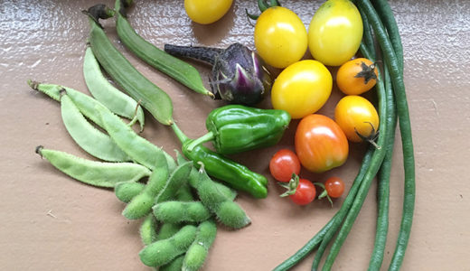 高温多湿環境でも育つ野菜やフルーツは何？